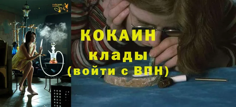 Cocaine Fish Scale  что такое наркотик  Сясьстрой 